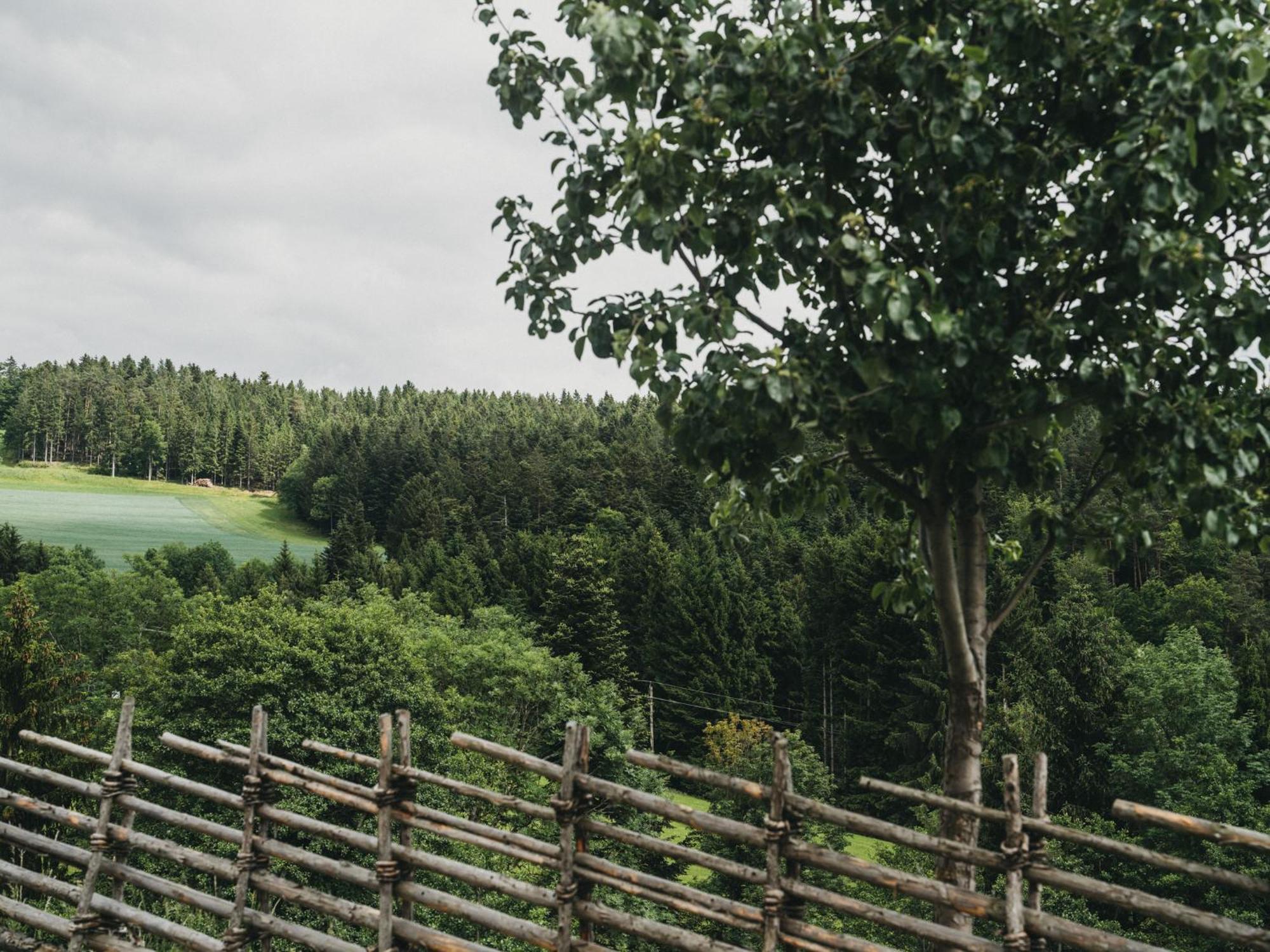 Hotel Muhr Pöllauberg Kültér fotó